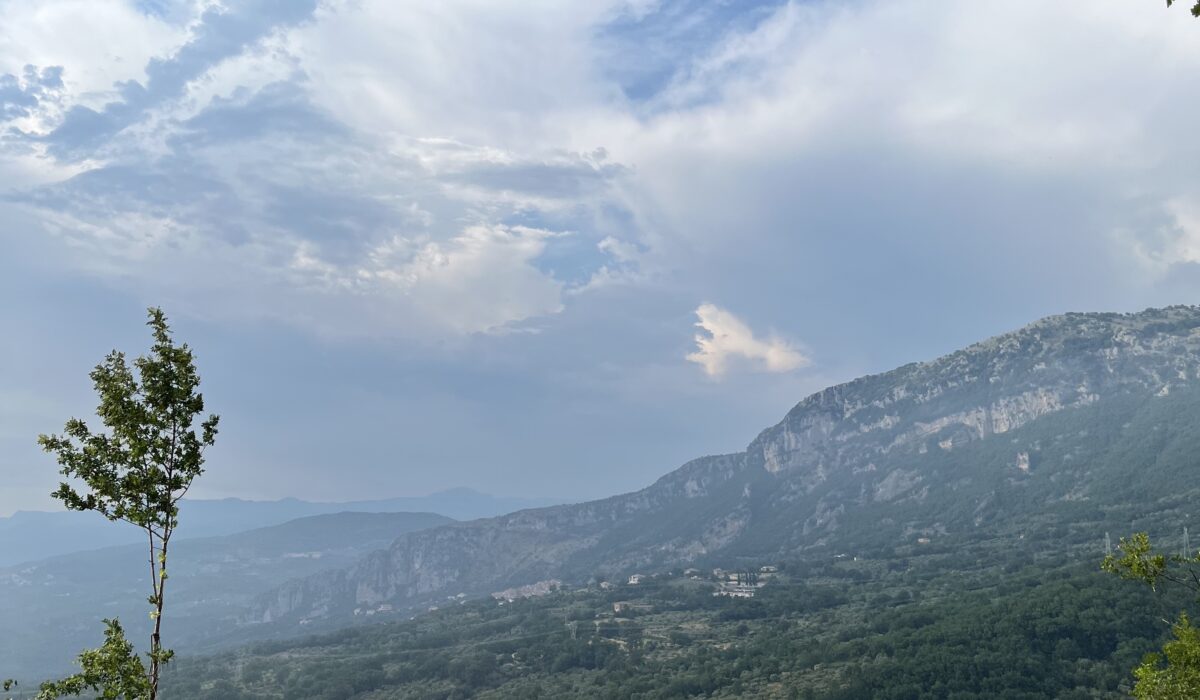 20220616_161433894_iOSTonino