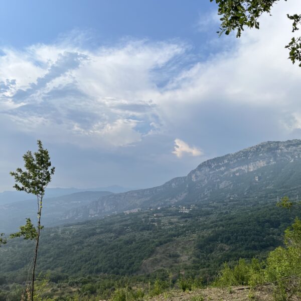 20220616_161433894_iOSTonino