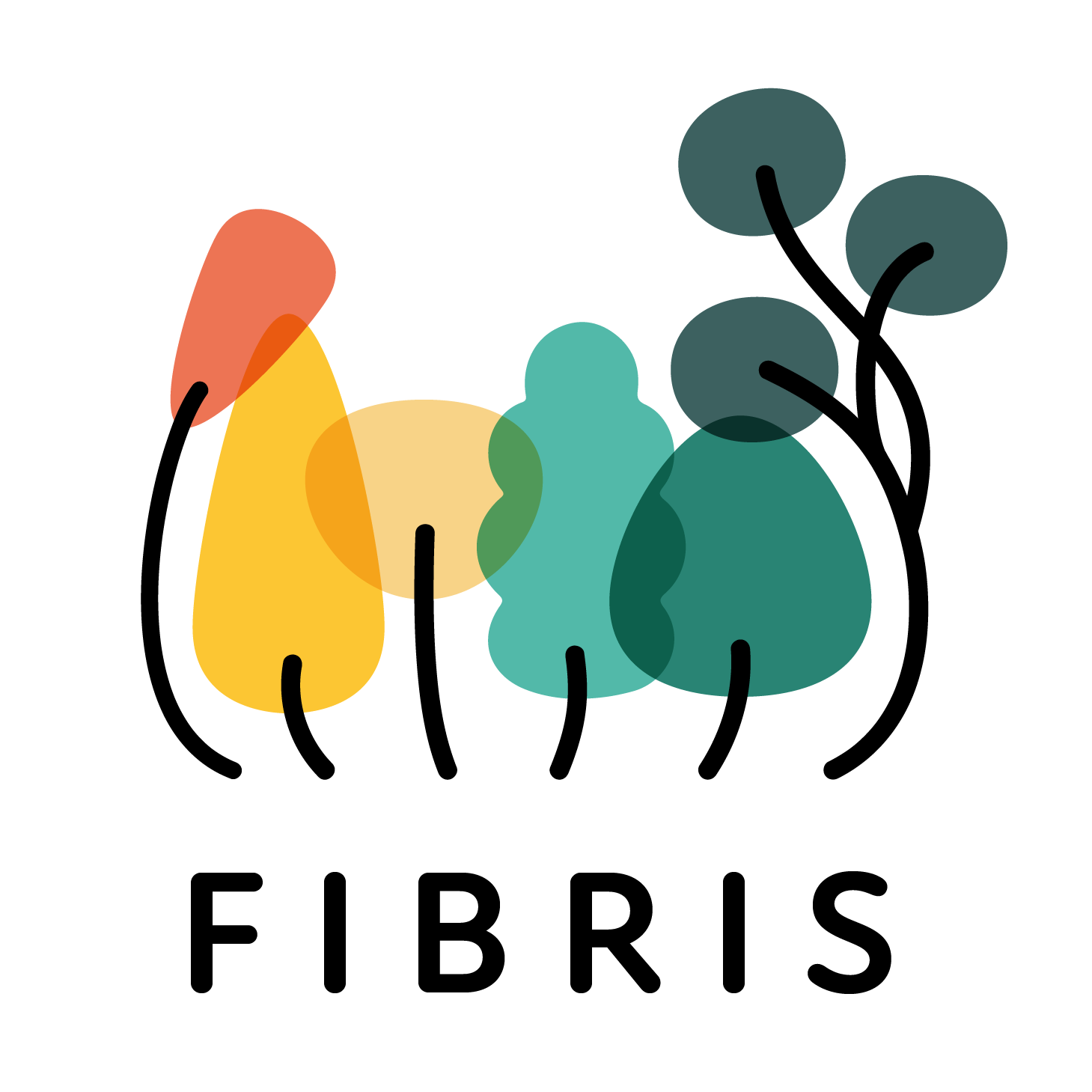 Fibris