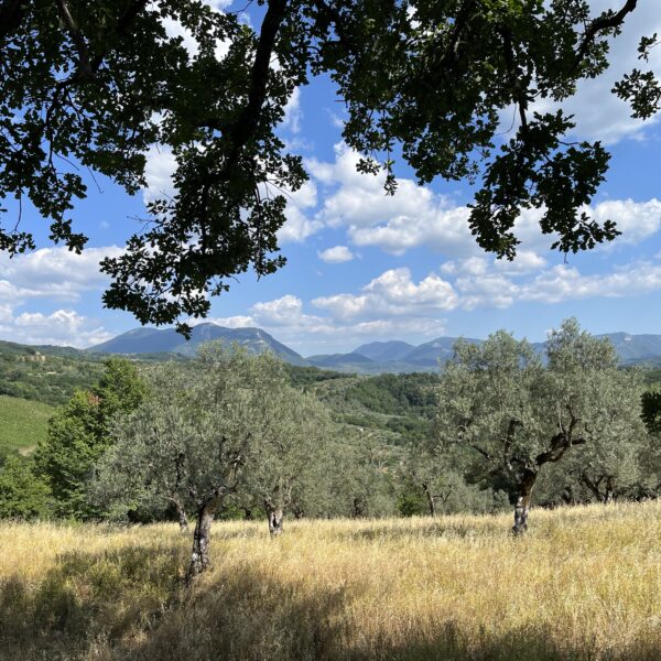20220618_141608048_iOSVito